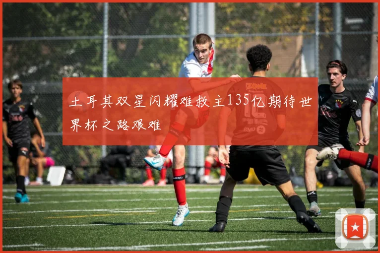 土耳其双星闪耀难救主135亿期待世界杯之路艰难