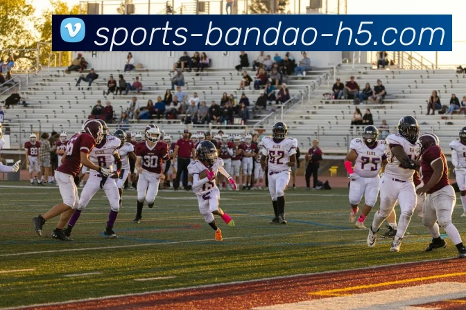 半岛体育平台生态图